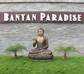 Banyan Paradise 